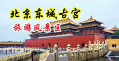 逼逼色站中国北京-东城古宫旅游风景区
