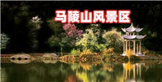 大男阴径啪啪视频